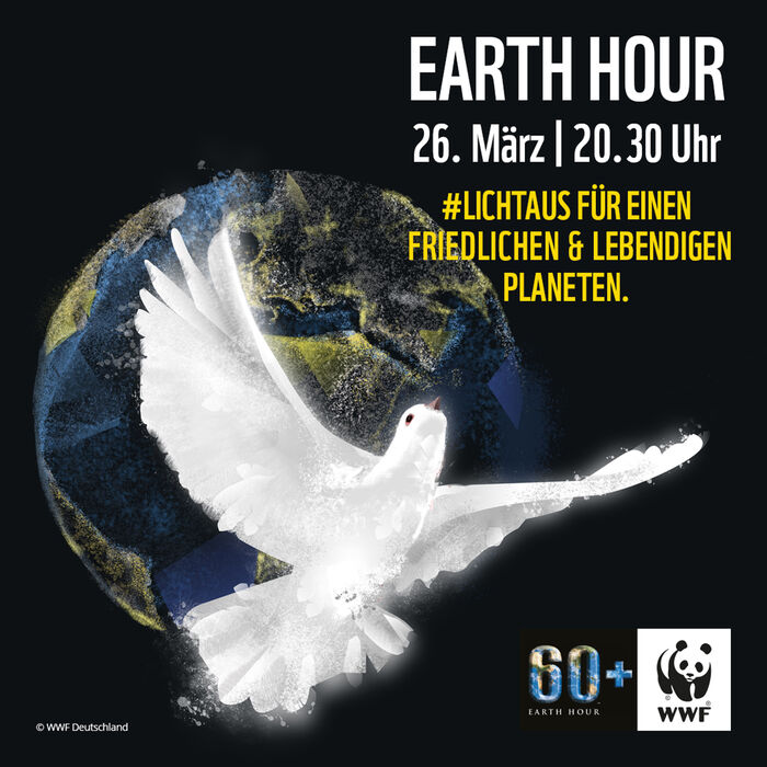 Plakat Earth Hour