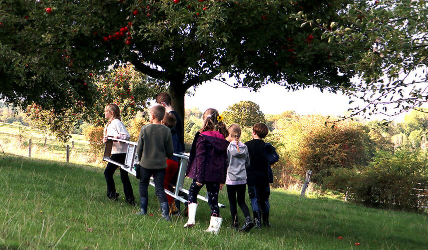6 Kinder tragen unter einem Apfelbaum eine Leiter